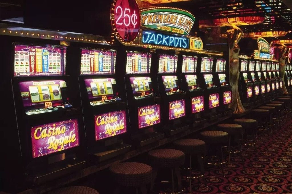 8143|Plataforma de Cassino com Cashback Diário Participe Já
